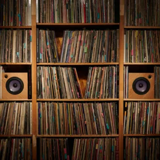 Kolumny podstawkowe Devore Fidelity Orangutan Micr/O - 2