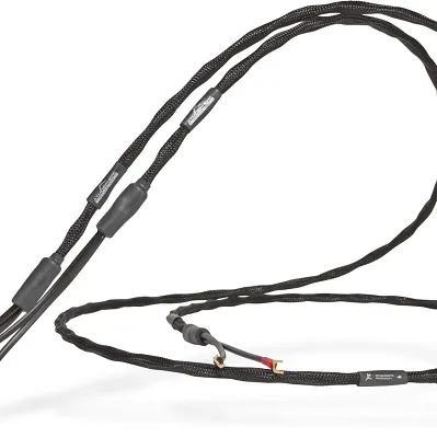 Synergistic Research Atmosphere SX SC banan