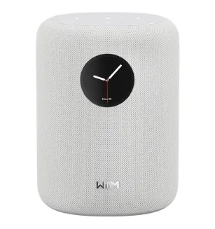 Głośnik bezprzewodowy WiiM Sound - 8