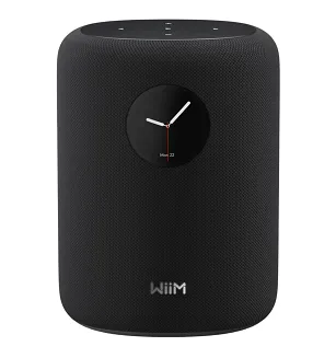 Głośnik bezprzewodowy WiiM Sound - 2