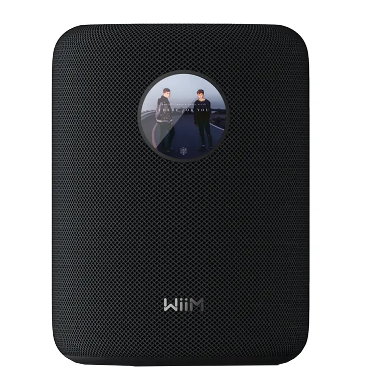 Głośnik bezprzewodowy WiiM Sound
