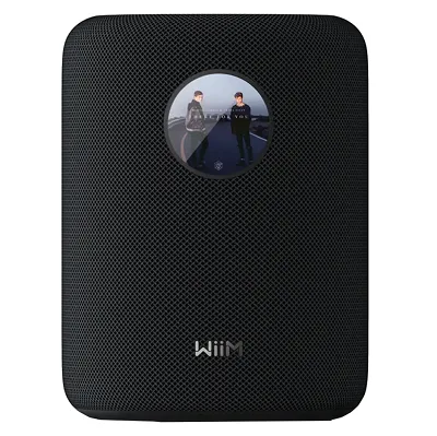 Głośnik bezprzewodowy WiiM Sound