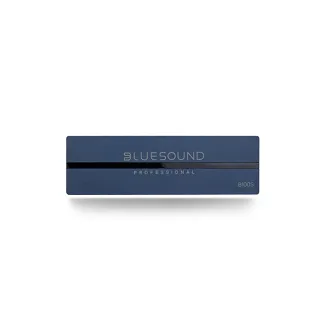 Odtwarzacz sieciowy Bluesound B100S - 2