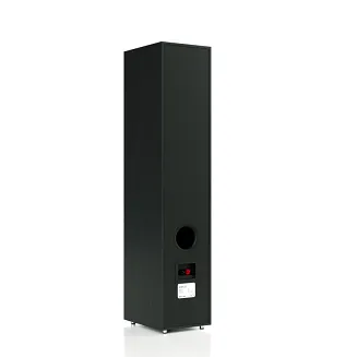 Pylon Audio Pearl 25 (czarne) - 2