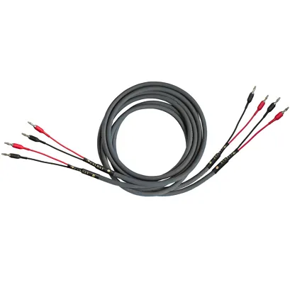 Cardas Audio Iridium Speaker