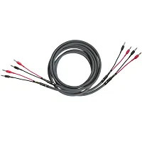 Kabel głośnikowy Cardas Audio Iridium Speaker