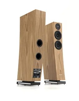 Pylon Audio Jasper 23 Active (heban marokański) - 2