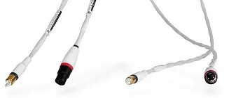 Synergistic Research Foundation IC RCA - 2