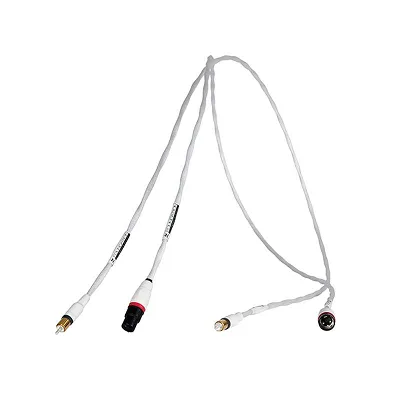 Synergistic Research Foundation IC RCA