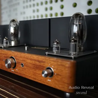 Audio Reveal Second - 4