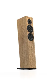 Kolumny podłogowe Pylon Audio Diamond 25 mkII - 7