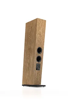 Kolumny podłogowe Pylon Audio Diamond 25 mkII - 8