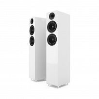 Acoustic Energy AE309 (biały połysk)