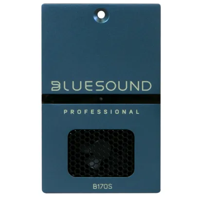 Bluesound B170S