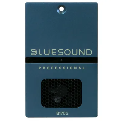Wzmacniacz Bluesound B170S