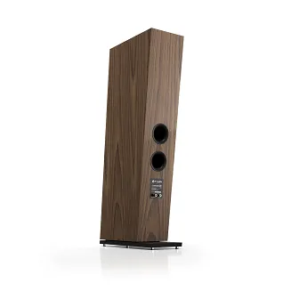 Pylon Audio Diamond 28 mkII (Orzech Amerykański) – Limited Edition - 4