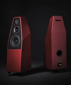 Wilson Audio Sabrina X - 5