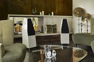 Wilson Audio Sabrina X - 10