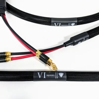 Purist Audio Design Aqueous Diamond Revision SPK