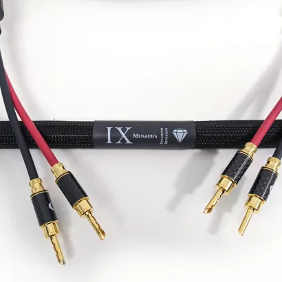 Purist Audio Design Musaeus Diamond Revision SPK