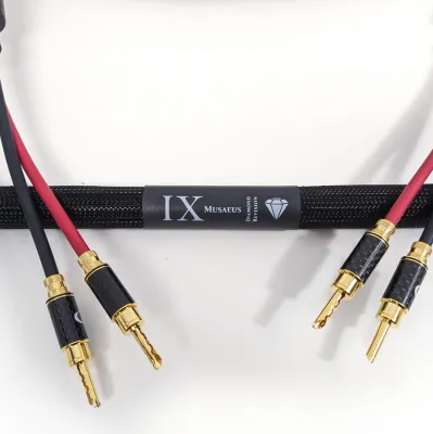 Purist Audio Design Musaeus Diamond Revision SPK