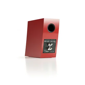 Pylon Audio Jasper Monitor 18 - 3
