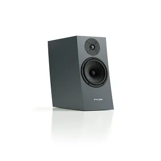Pylon Audio Jasper Monitor 18 - 5