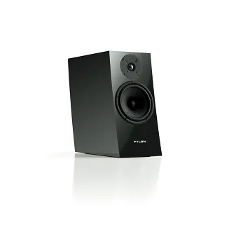 Pylon Audio Jasper Monitor 18 - 11