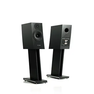 Pylon Audio Jasper Monitor 18 - 13