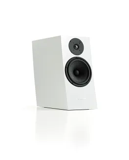 Pylon Audio Jasper Monitor 18 - 14