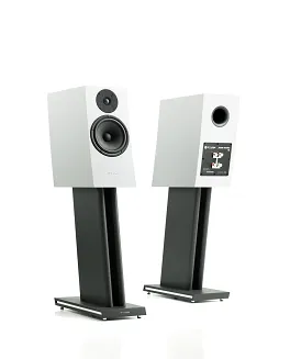 Pylon Audio Jasper Monitor 18 - 16