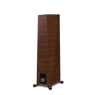 Paradigm Founder 100F (walnut) - 7