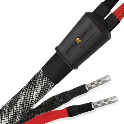 Kabel głośnikowy WireWorld PLATINUM ECLIPSE 10 (PES)