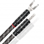 Zworki głośnikowe WireWorld PLATINUM ECLIPSE Biwire Jumpers JUMPPES10