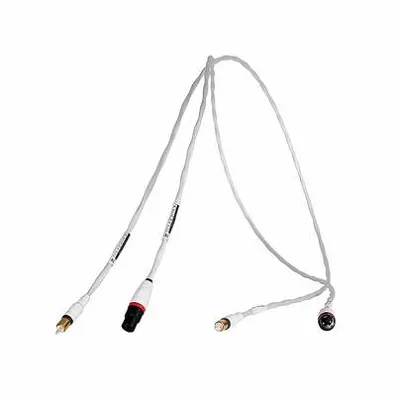 Synergistic Research Foundation IC XLR