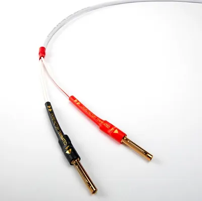 Chord Rumour X Banan - Banan