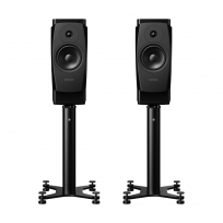 Kolumny podstawkowe Dynaudio Confidence 20A (space)