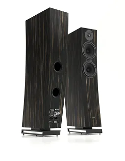 Pylon Audio Jasper 25 mkII Active (heban marokański) - 2
