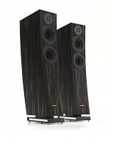 Pylon Audio Jasper 25 mkII Active (heban marokański)