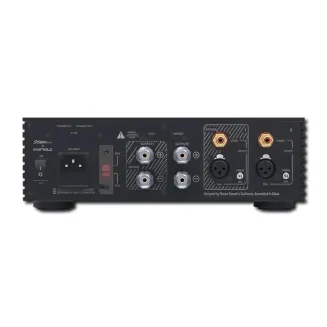 Końcówka mocy EverSolo AMP-F2 - 4