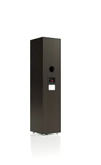 Pylon Audio Pearl 20 (wenge) - 4