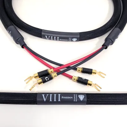 Purist Audio Design Poseidon Diamond Revision SPK