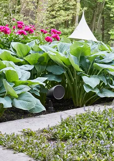 Martin Logan Outdoor Sat 40 - 8