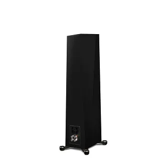 Paradigm Founder 80F (piano black) - 5