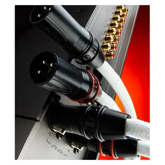 Chord Sarum T XLR - 2