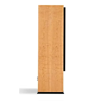 Kolumny aktywne ATC SCM300 ASLT - 3