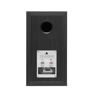 Kolumny podstawkowe Triangle Esprit Titus EZ (złoty klon) - 4