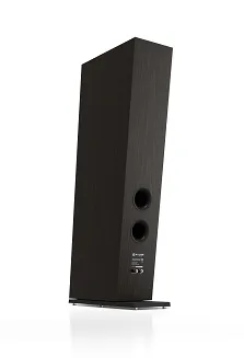 Pylon Audio Diamond 30 mkII - 20