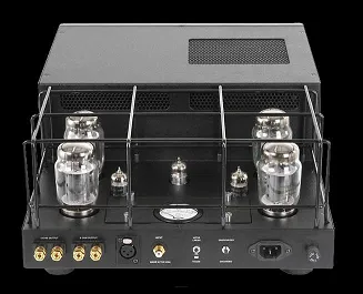 Rogue Audio M-180 Dark - 2