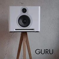 Guru Q10 standy